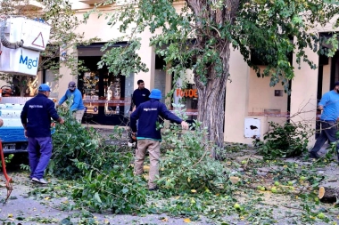 Magdalena inició el plan de reforestación urbana y orden en veredas