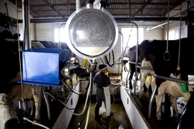 Alerta en los tambos bonaerenses: los últimos números de producción y ganancia que preocupan