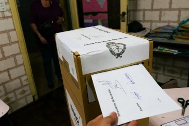 Proponen que las PASO dejen de ser obligatorias y sean optativas en las próximas elecciones bonaerenses