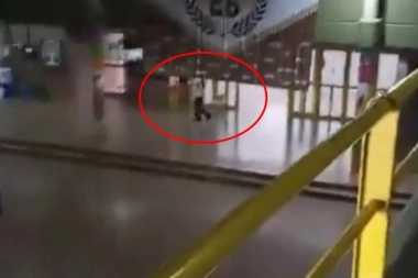 Terror y tragedia en una escuela de Santa Fe: un alumno disparó con una escopeta, mató a un compañero e hirió a dos