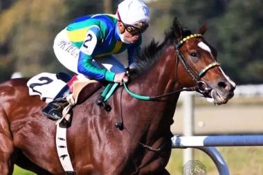 El Hipódromo de San Isidro se prepara para el Especial Rico con más de $160 millones en pozos acumulados