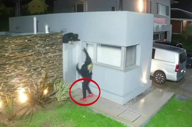 Miedo en el Partido de la Costa: una banda ingresó a dos propiedades durante la madrugada