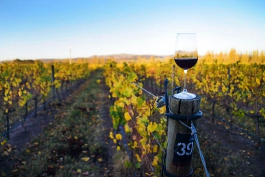 Destinos bonaerenses: Miramar invita a disfrutar del cálido sonido ancestral del mar con dos grandes fiestas