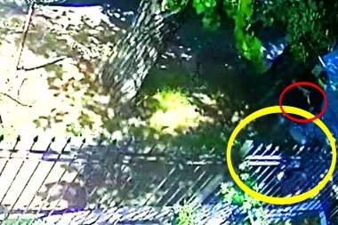 Salvaje asalto en Morón: bicichorro atacó a una joven y le rompió la cabeza con culatazos