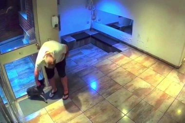 Lo peor de la raza humana: levantó al perro 2 metros y lo arrojó al suelo con furia