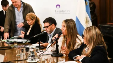 Se reunieron cinco comisiones en la Legislatura porteña para avanzar en diversos proyectos