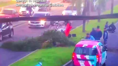Imprudencia pudo acabar en fatalidad: circulaba a lata velocidad, chocó una palmera y volcó