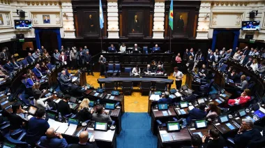 Diputados bonaerenses: avanza una ley para fortalecer derechos de personas con síndrome de Down