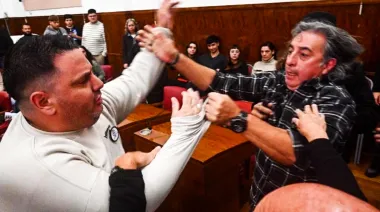 Piñas, insultos y suspensión: escándalo en el Concejo Deliberante de Mar del Plata