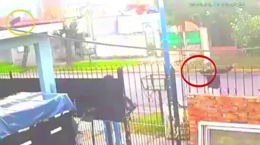 Quiere ser gobernadora y no puede detener a los motochorros en Moreno