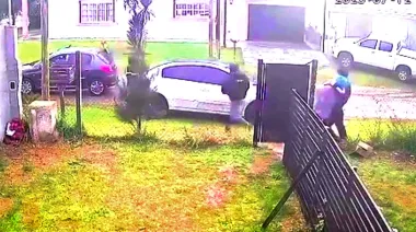 Una banda de pirañas atacó a una pareja en Mar del Plata