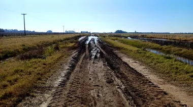 El campo bonaerense entra en alerta: la cosecha sigue frenada por los caminos rurales