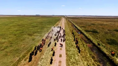 Un informe ubicó al municipio de Pila entre las ciudades bonaerenses líderes del Interior Agropecuario