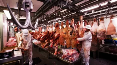 Puglelii alertó el avance de las importaciones de carne y su impacto en la producción local