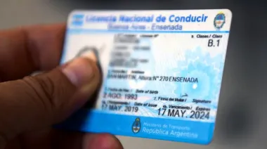 Petrecca propone cambios para facilitar la renovación de las licencias profesionales