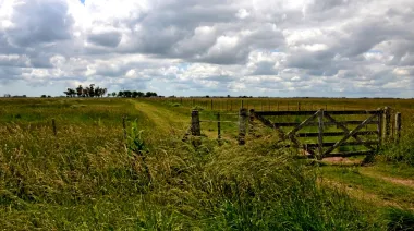 Tras la reforma de la Ley de Tierras que propone Milei, La Cámpora busca blindar el suelo bonaerense