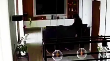Con un destornillador y experimentadas maniobras, desvalijaron un departamento en Merlo