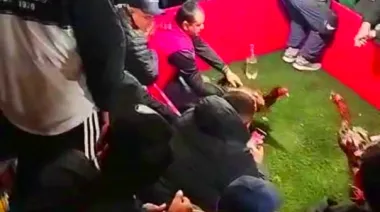 Cómo funcionaba la riña de gallos que la Policía Federal clausuró en Brandsen