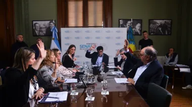 Avanza en el Senado bonaerense un proyecto para impulsar la olivicultura en el sudoeste