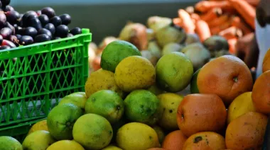 Chaves Municipio abre una nueva convocatoria para fomentar la producción frutícola en la Provincia
