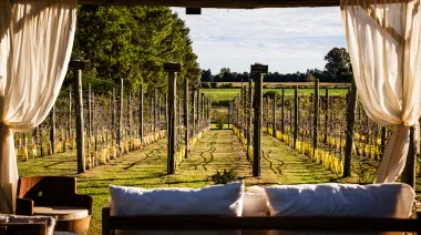 Destinos bonaerenses: escapadas a viñedos y olivares en el Finde Largo