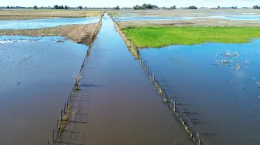 Por las inundaciones, declararon emergencia agropecuaria en 9 de Julio y en parte de Necochea
