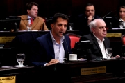 Senadores del PRO condenaron la aprobación de las reelecciones indefinidas: "Es un grave retroceso institucional"