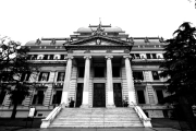 Las ratas invadieron Diputados bonaerense: edificio cerrado por desinfección