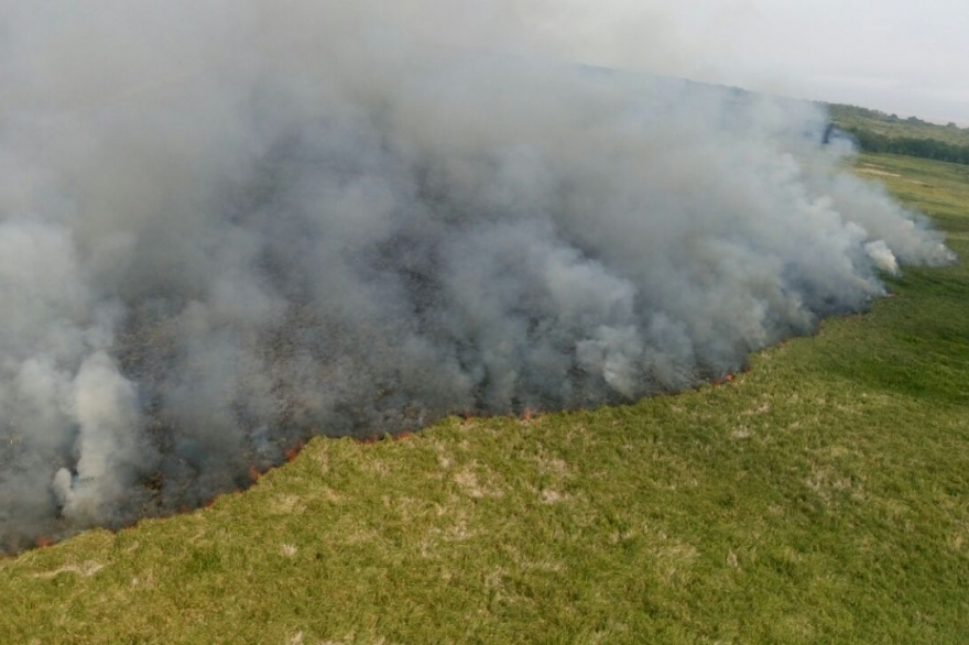 Desde el OPDS informan que “no hay riesgo para la población” por el incendio en la Reserva de Punta Lara