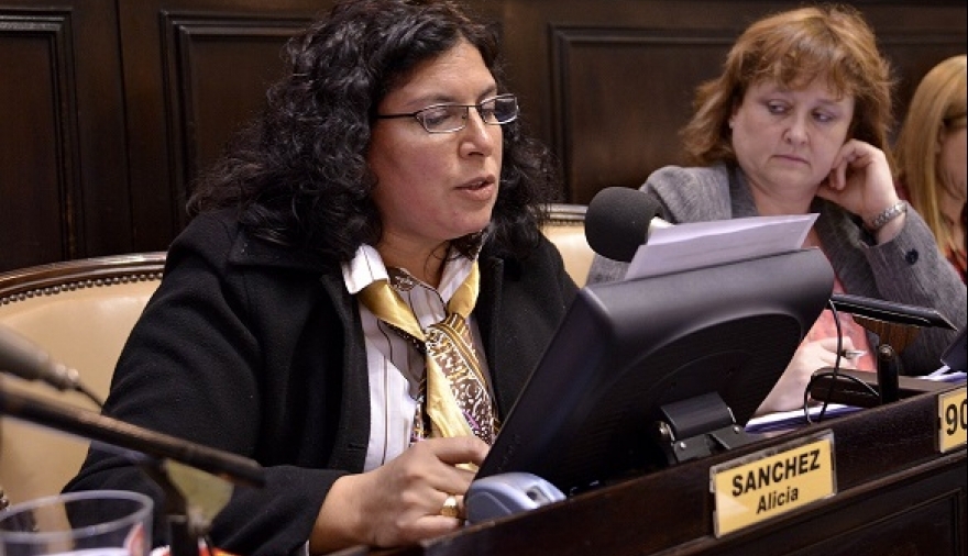 Diputada del FpV-PJ mostró "precupación" ante posible privatización del Arsat III