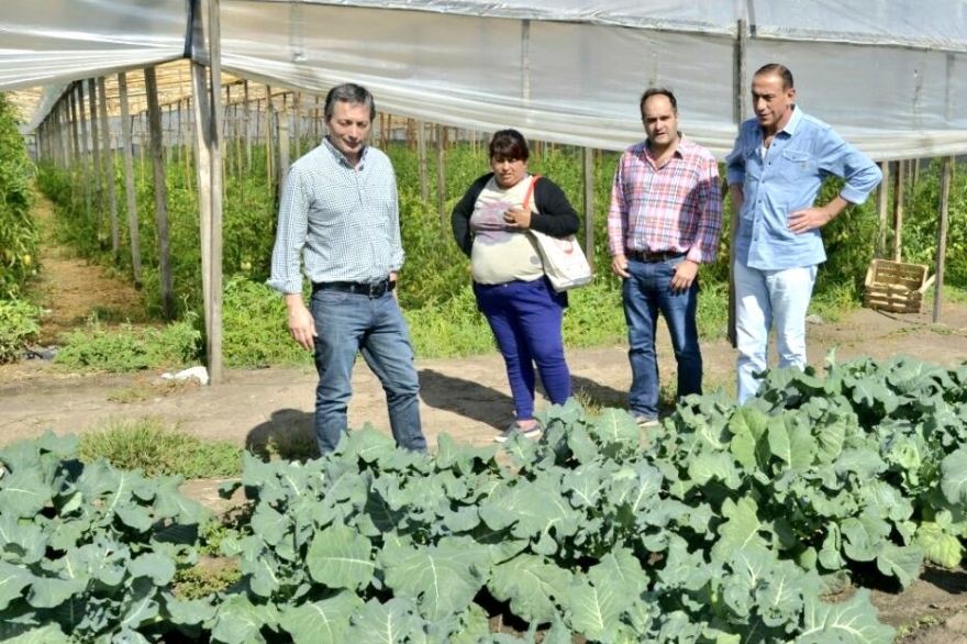 Gray recorrió el cordón frutihortícola de La Plata y se reunió con productores agropecuarios