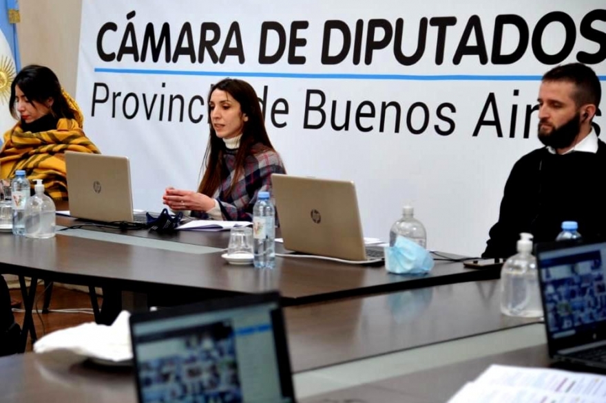 Primer foro participativo para la implementación de la Ley nacional de Parto respetado