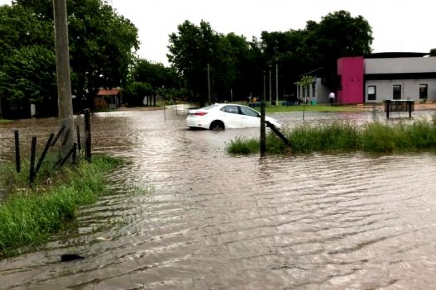 Fuerte tormenta en Saladillo con granizo, árboles caídos y destrozos: mirá las imágenes