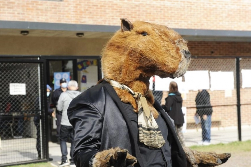 Nordelta: un hombre fue a votar vestido de carpincho