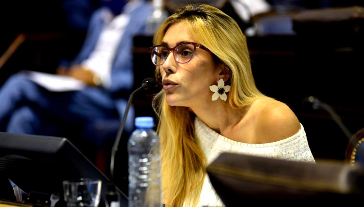 Panebianco: “Si Juntos no se mantiene unido, no hay posibilidad de volver al poder”
