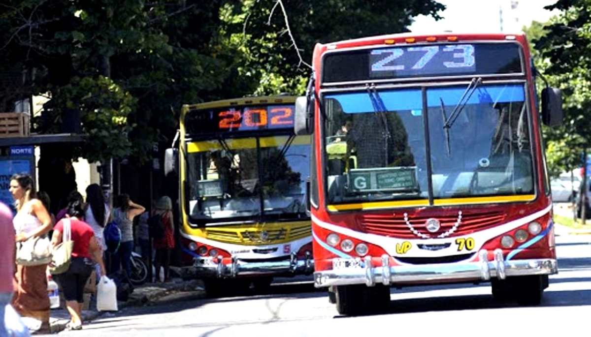 En La Plata, buscan ampliar el recorrido y la frecuencia de los micros -  Cronos Noticias