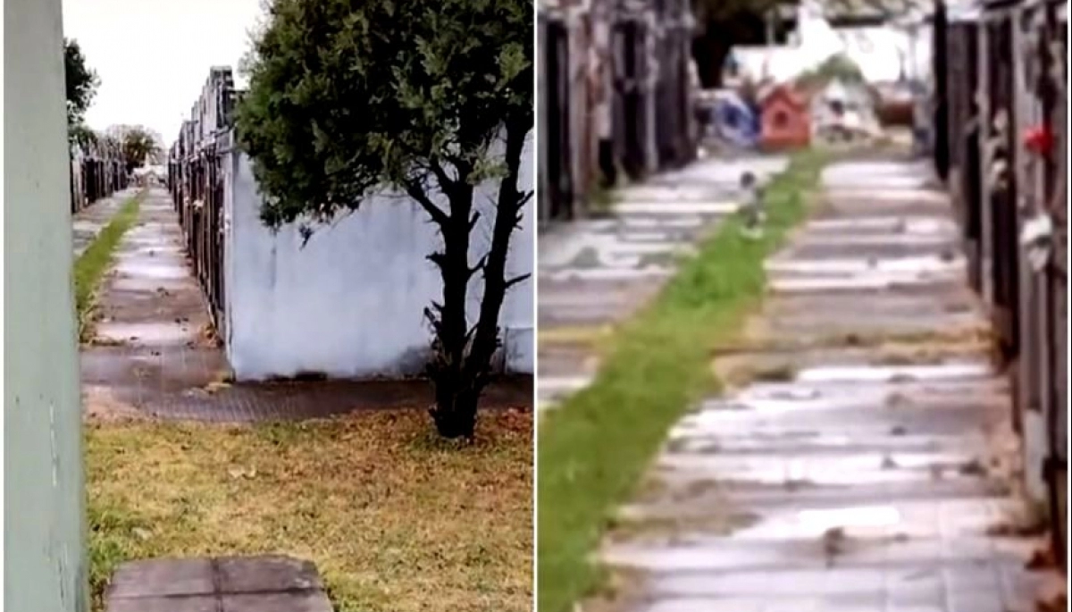 Video: miedo en Ezpeleta por una mujer que grabó a un "bebé fantasma" en un cementerio