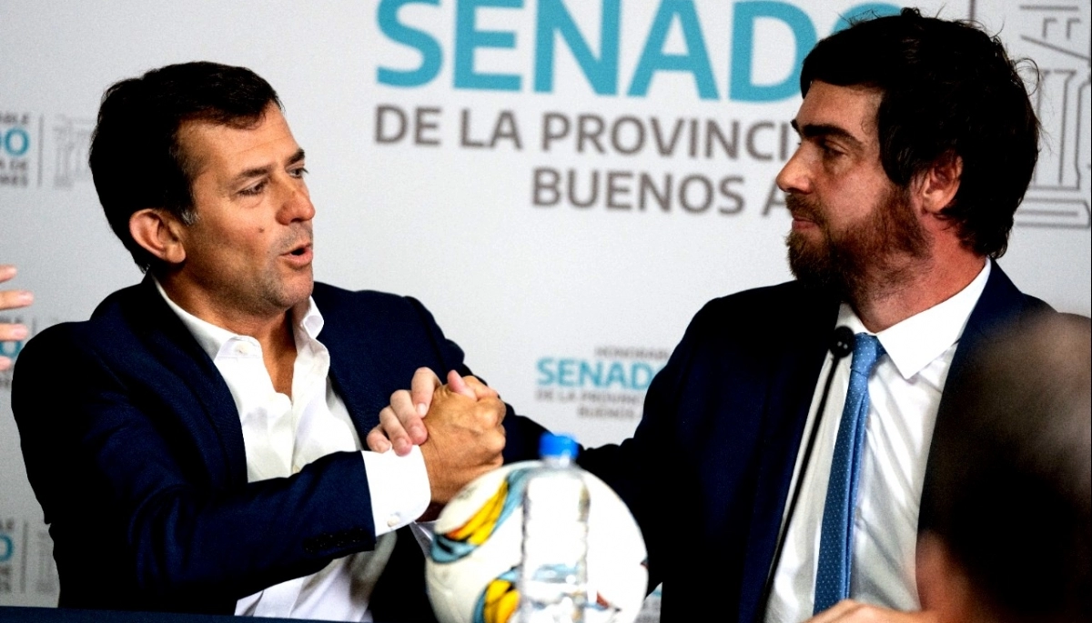 Visibilización en el Senado: presentaron serie de cuentos sobre actividades adaptadas