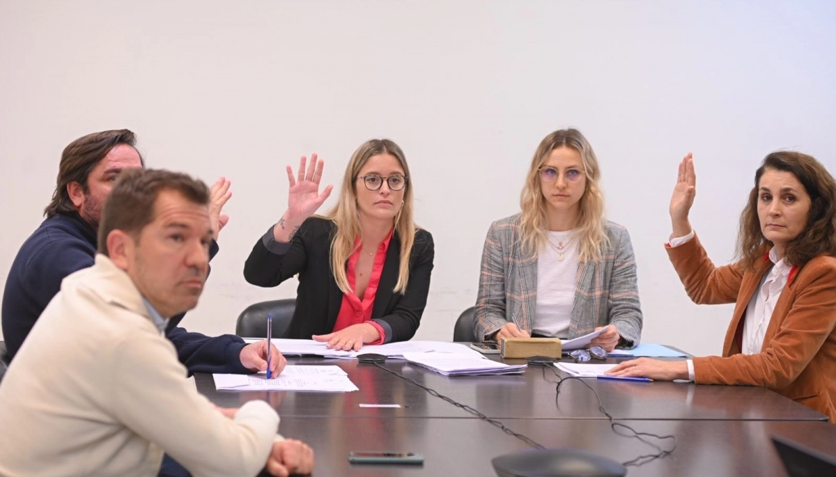 Con el apoyo de libertarios, Juntos logró dictamen al proyecto de Boleta Única