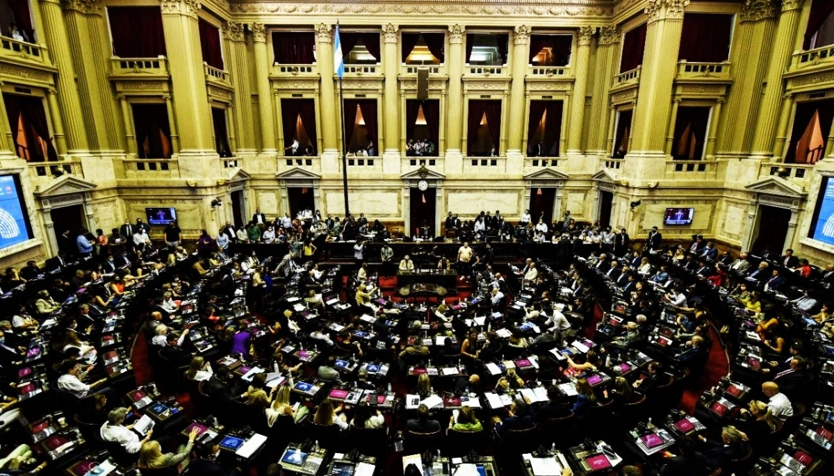 En vivo: Diputados nacionales debaten la capacitación para funcionarios en “Ley Lucio”
