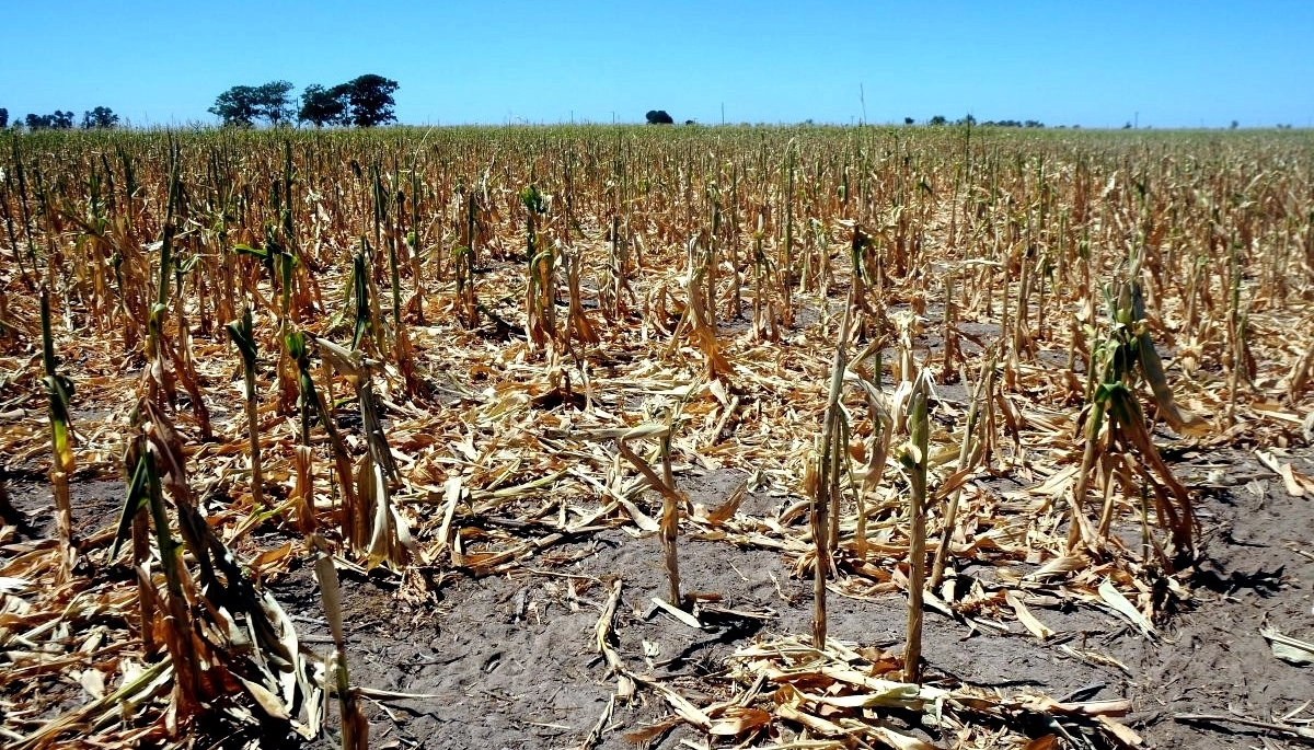 Kicillof salió en ayuda de más municipios y amplió la declaración de emergencia y desastre agropecuario