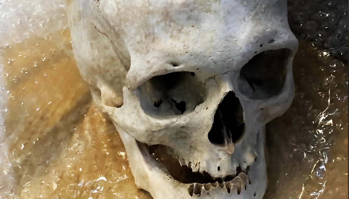Macabro: encontraron una calavera humana que se dirigía a los Estados Unidos en encomienda