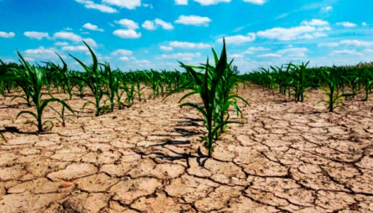 Más beneficios para productores bonaerenses afectados por la emergencia agropecuaria