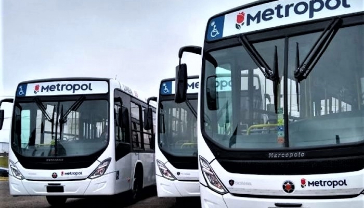 Crisis en transporte: más de 30 líneas de colectivos del AMBA están de paro