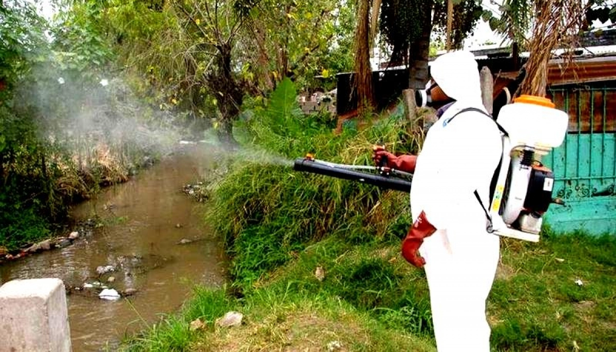 Provincia registró 9.000 contagios de Dengue y Chikungunya: qué municipio tiene más casos