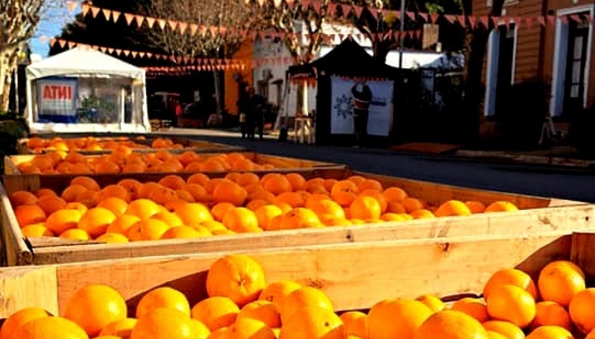 Destinos bonaerenses: fiesta de la naranja del alfajor costero y los mejores planes para las vacaciones