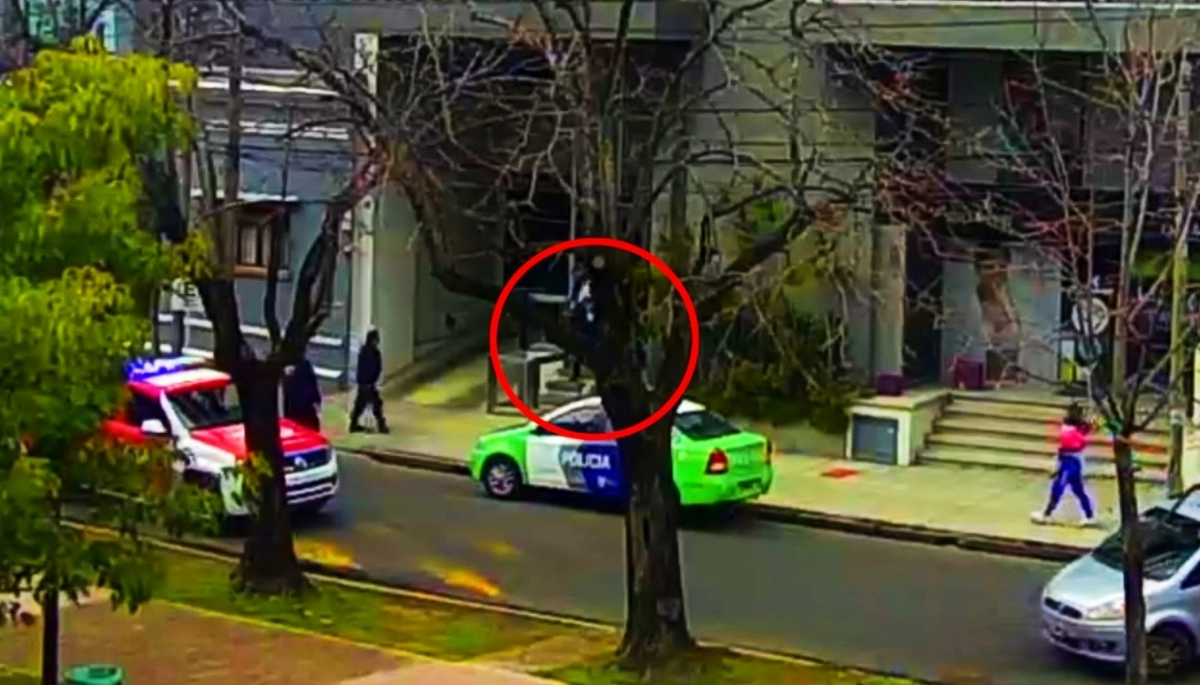 Video: robaron un departamento y cuando escapaban los esperaba la policía