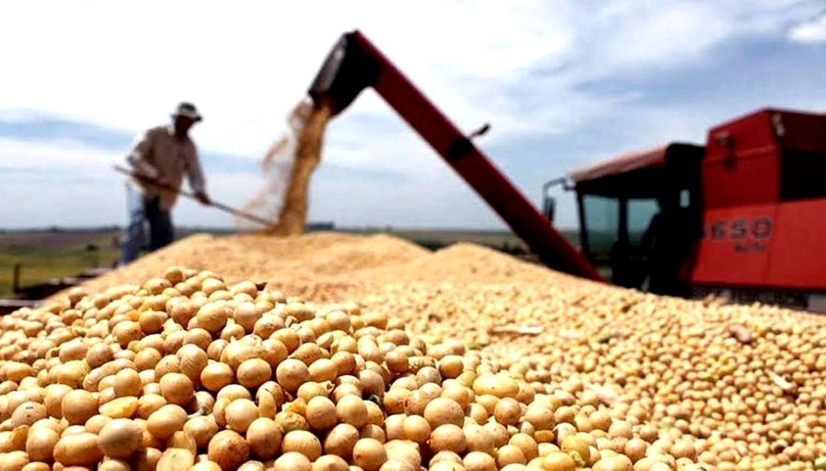 Efecto sequia: las exportaciones del agro cayeron un 50% en este 2023