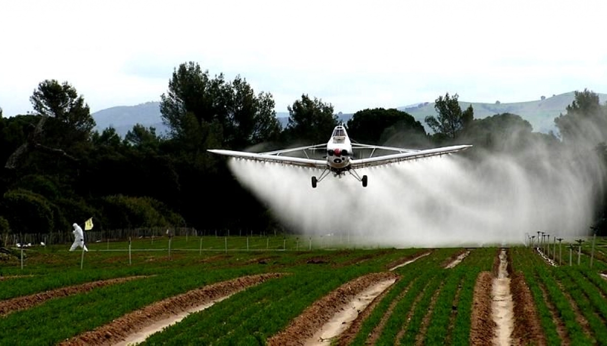 La Justicia prohibió el uso de agroquímicos terrestres en municipio bonaerense