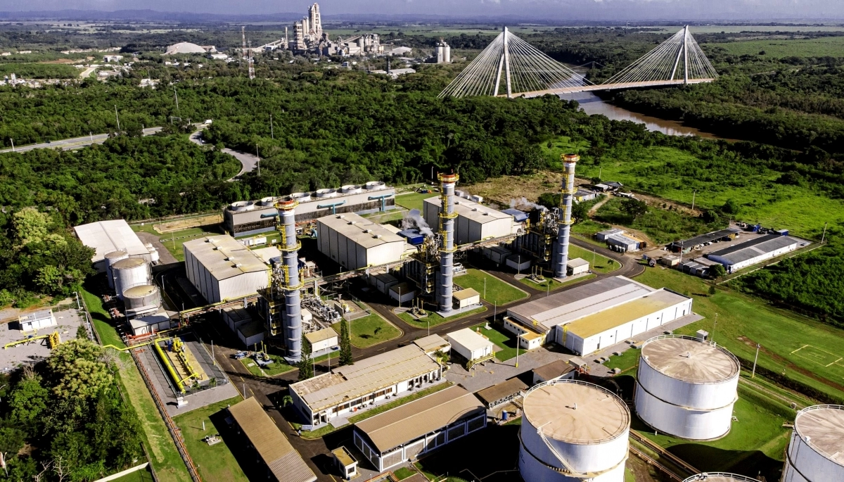 Emergencia energética: Milei decretó revisión de tarifas e intervención de entes reguladores